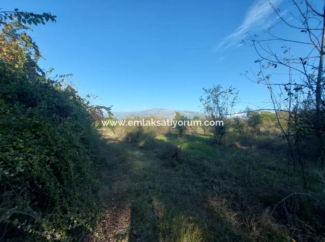 9 600 M2 Land Close To The Lake In Köyceğiz Toparlar Is For Sale