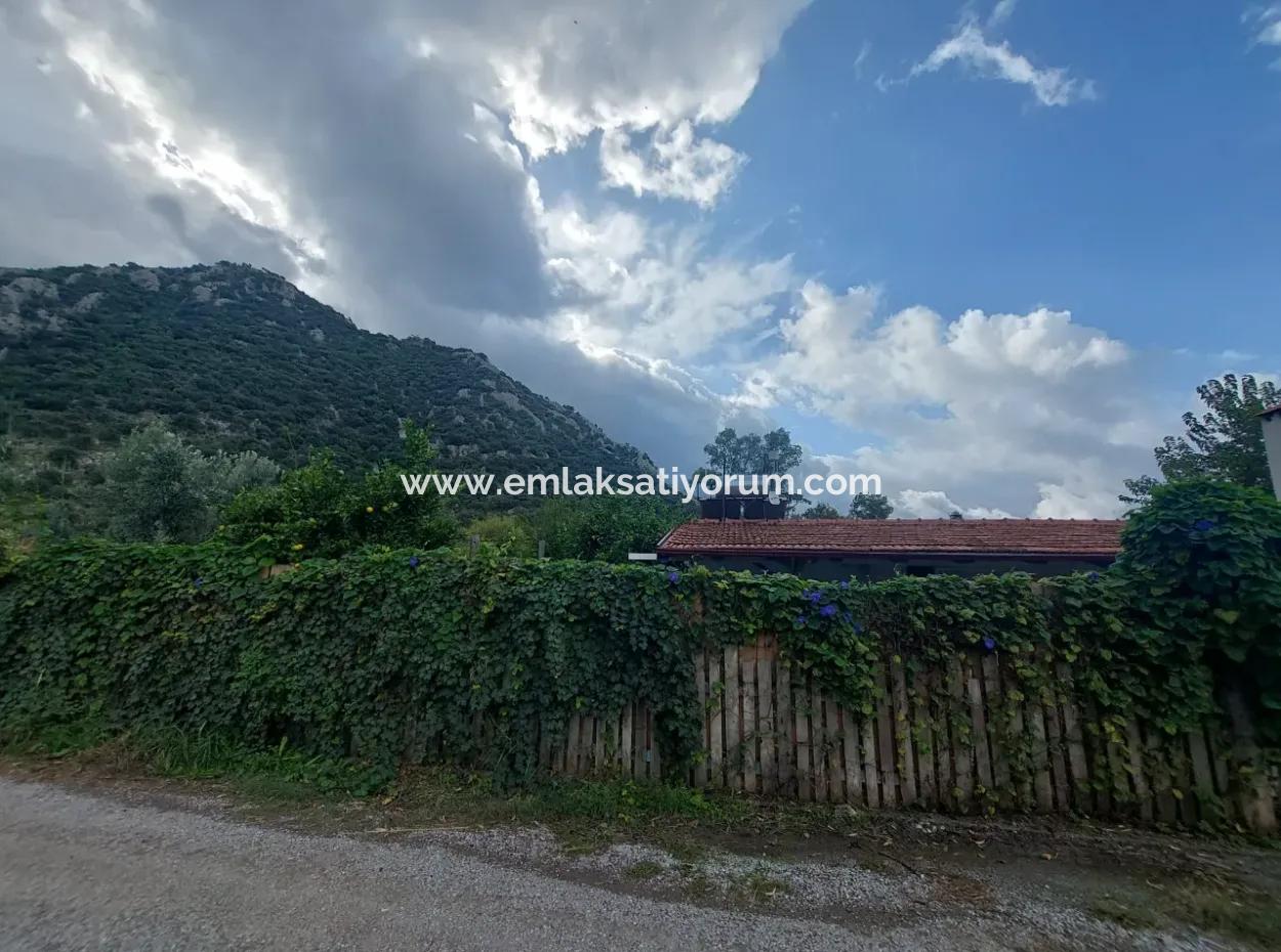 5.000 M2 Land With 150 M2 Construction Right Is For Sale In Muğla Dalyan
