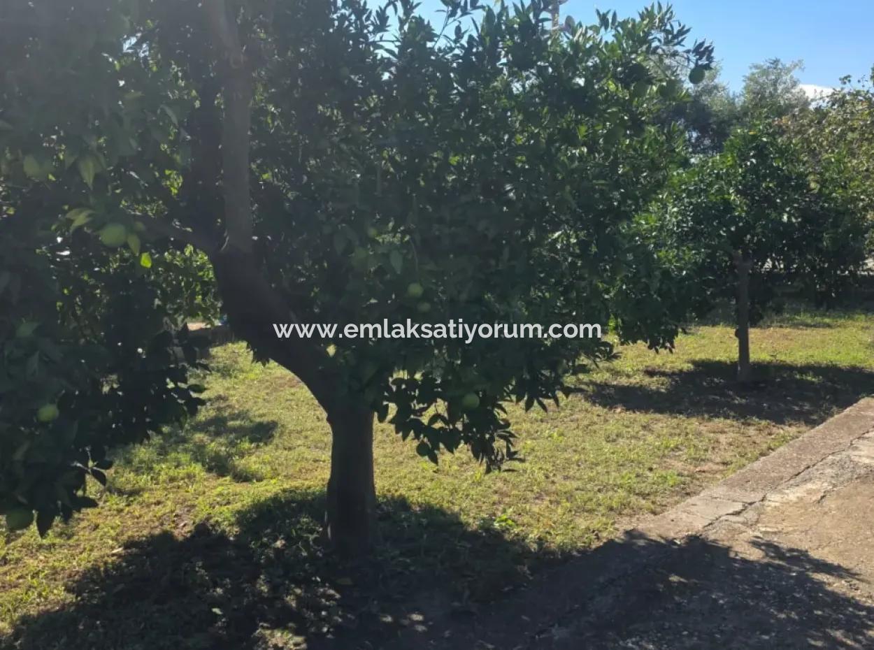 2 1, 70 M2 Village House For Sale On 902 M2 Land Zero To Ortaca Akıncı Sarıgerme Road