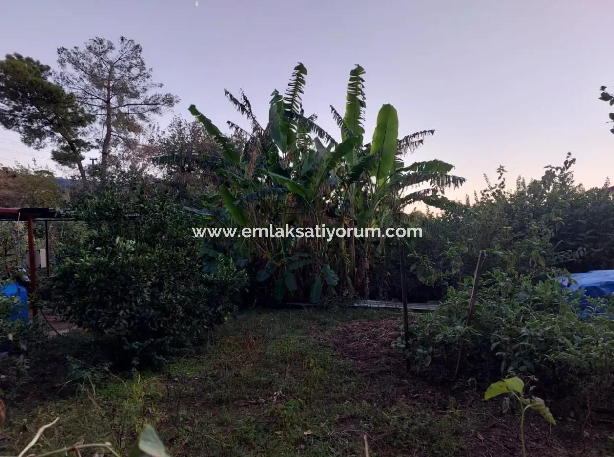 350 M2 Detached Tiny House Suitable Land For Sale In Ortaca Çaylı