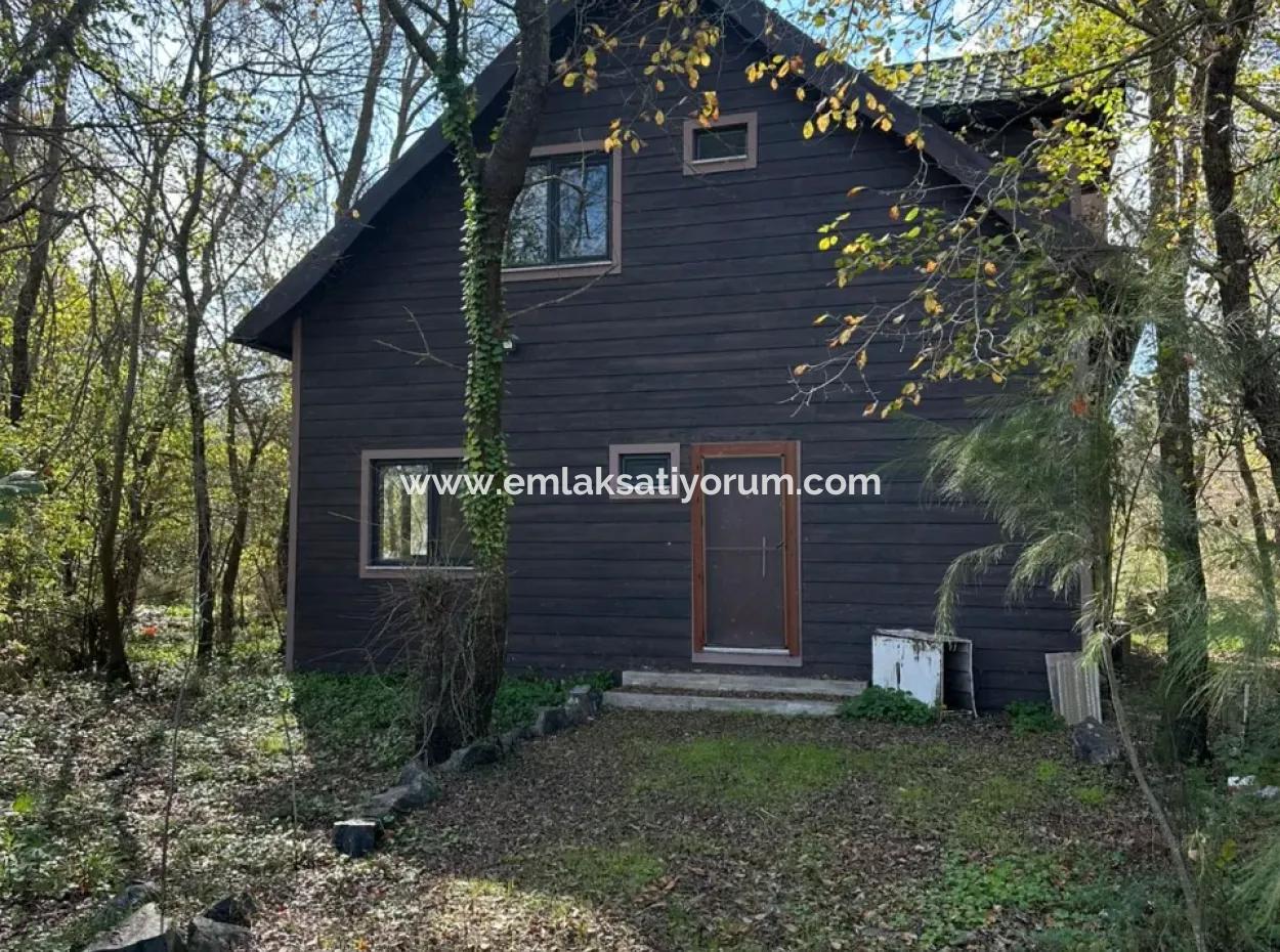 12 000 M2 Field For Sale In Ortaca Yeşilyurt