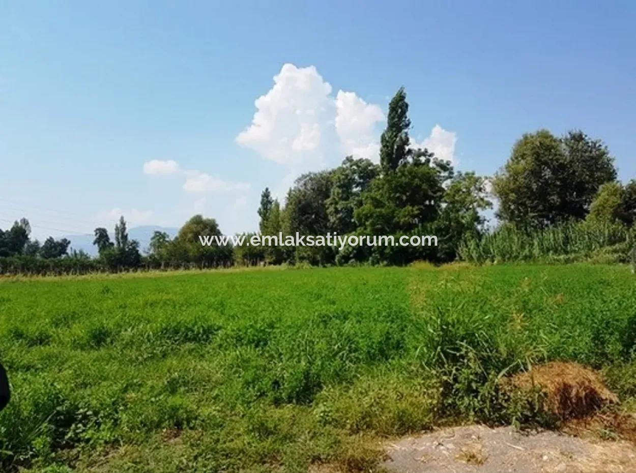 Bargain Plot For Sale In Archer