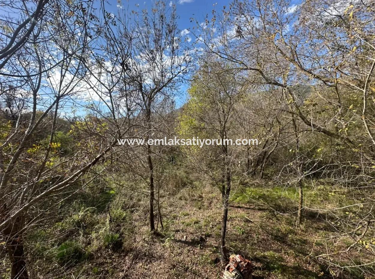 12 000 M2 Field For Sale In Ortaca Yeşilyurt