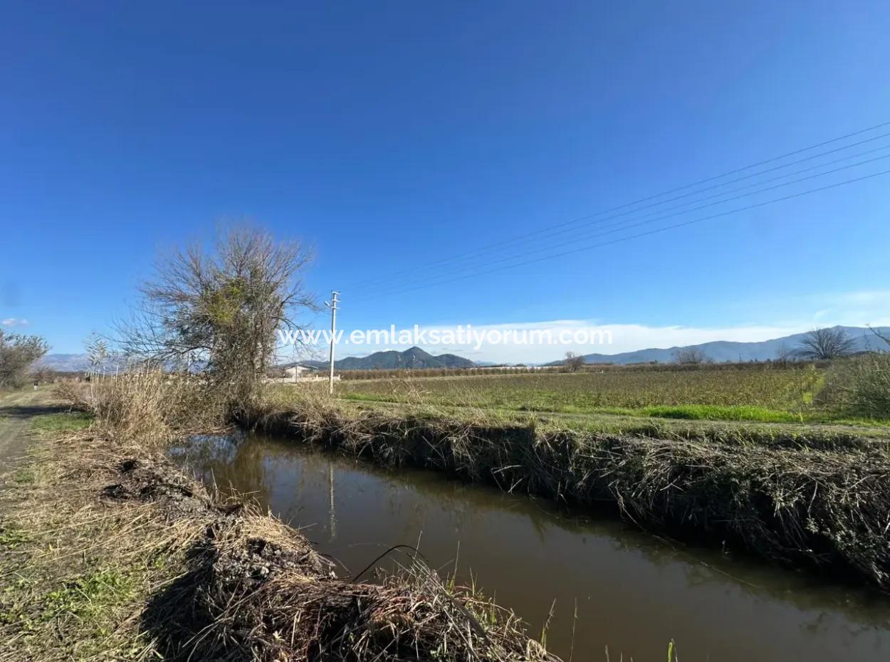 Field For Sale Close To Dalyan, Close To Köyceğiz Lake