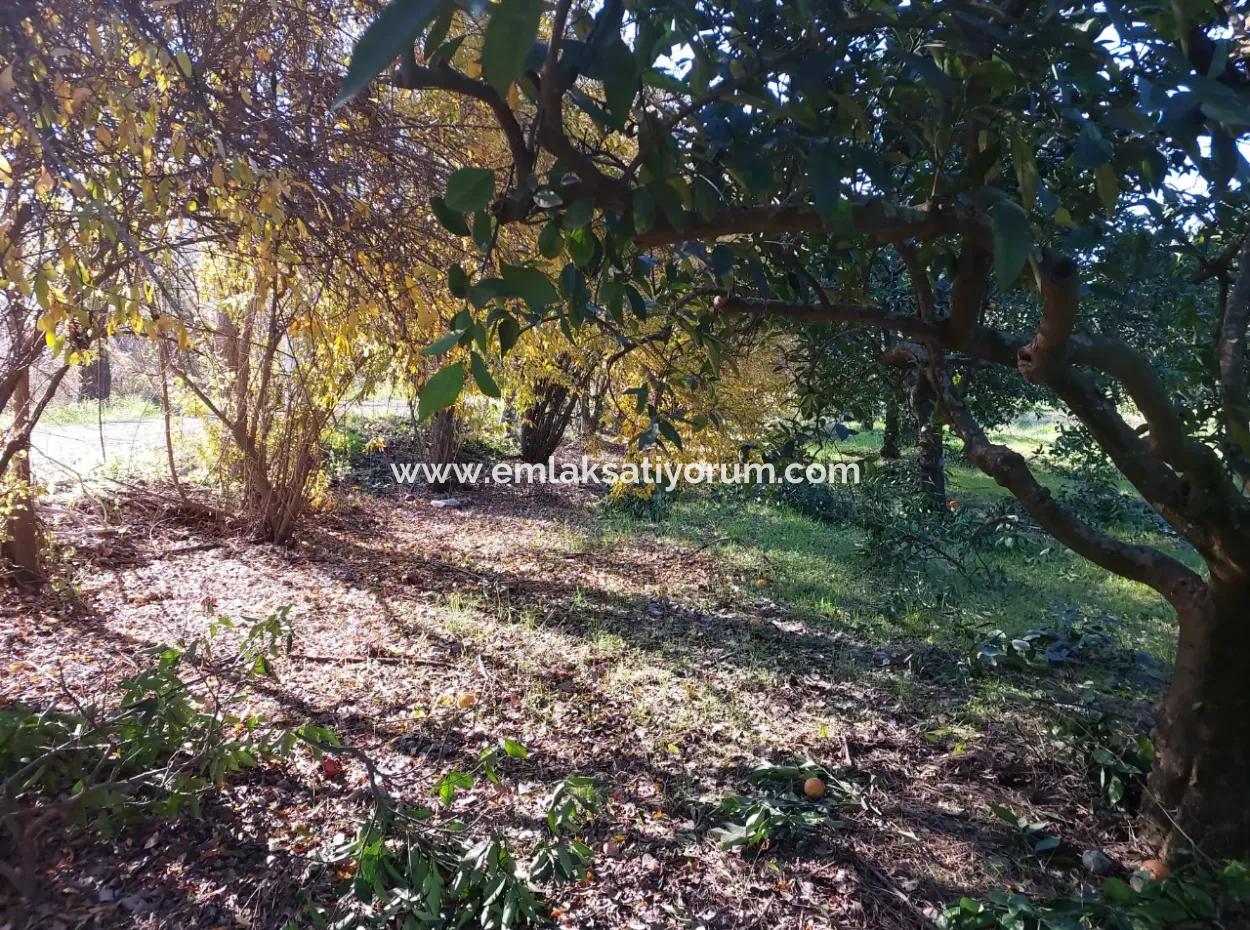 1000M2 Detached Land With 250 M2 Construction Right In Ortaca Okçular For Sale