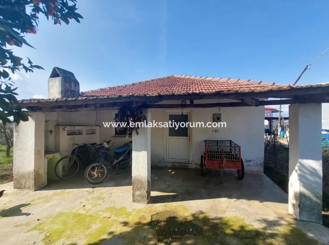 Muğla, Köyceğiz, Kavakarası 2 1, 3 Independent Kelepir Village Houses For Sale On 1500 M2 Land