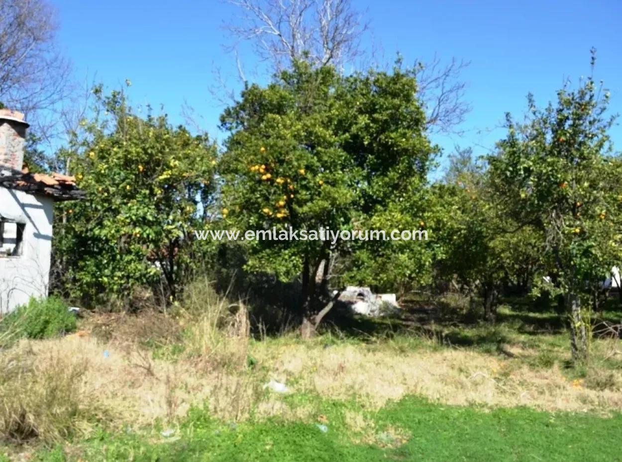 Bargain Village House For Sale In Archers Oriya