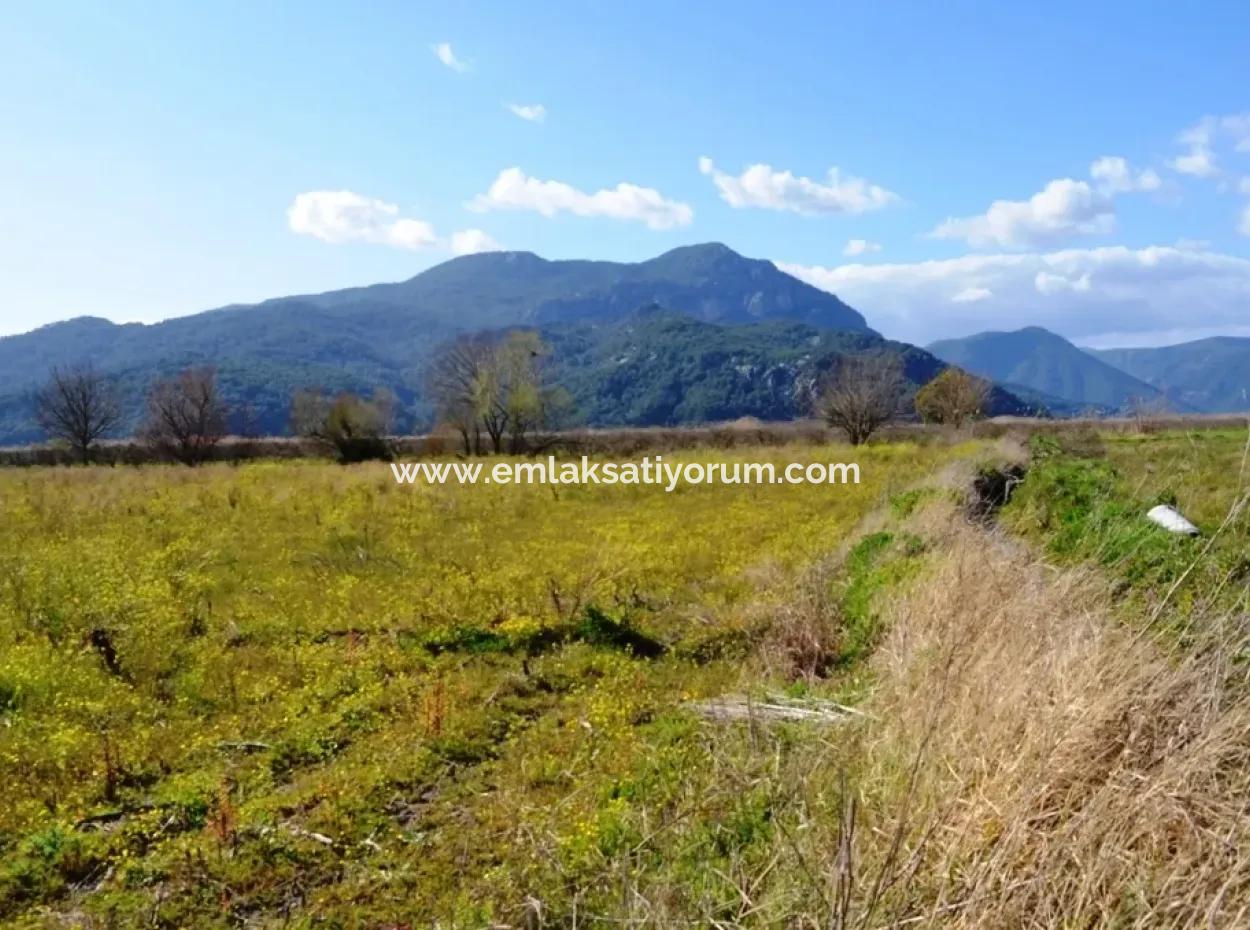 Farm For Sale Bargain In Dalyan