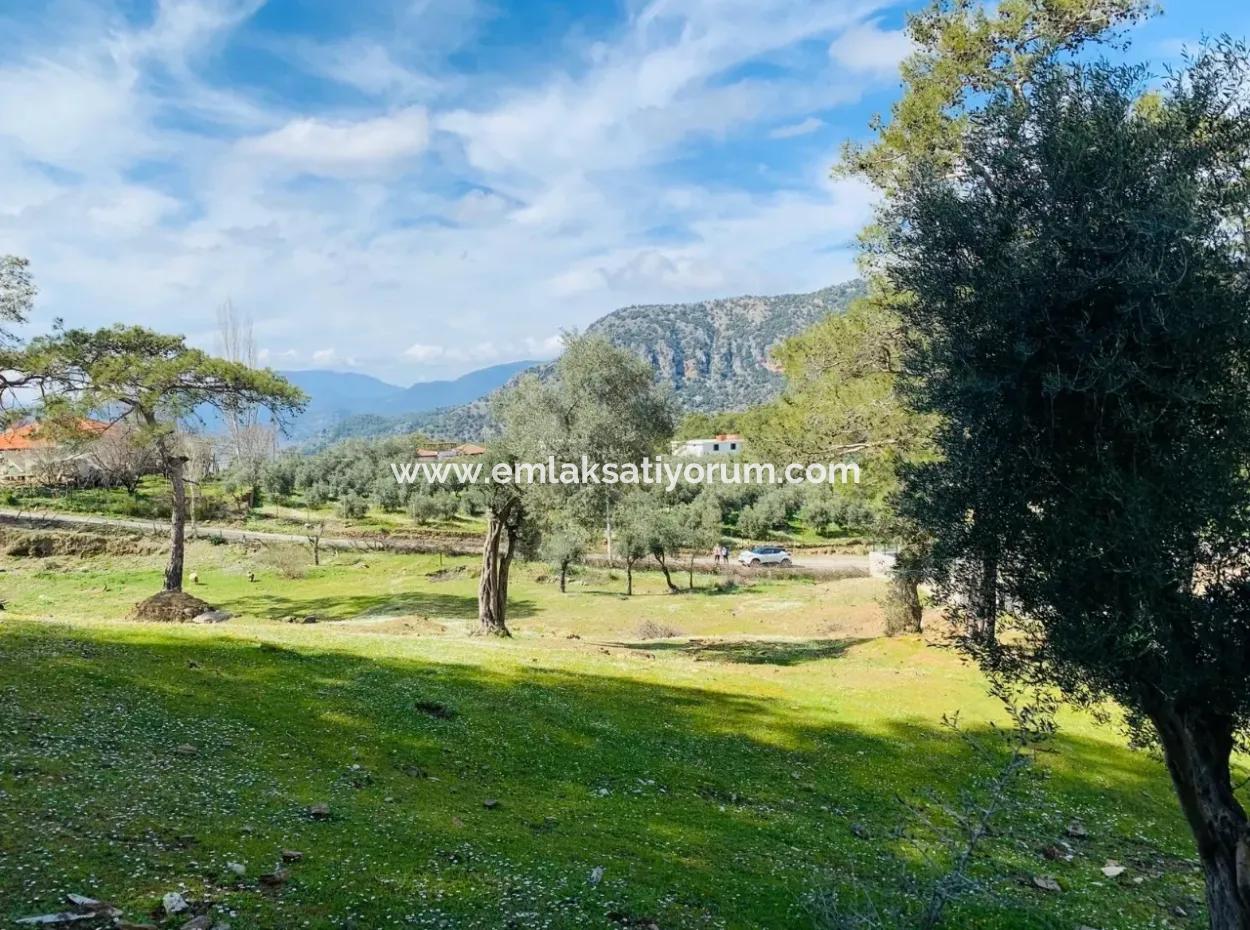 Detached Field For Sale In Ortaca Gökbel
