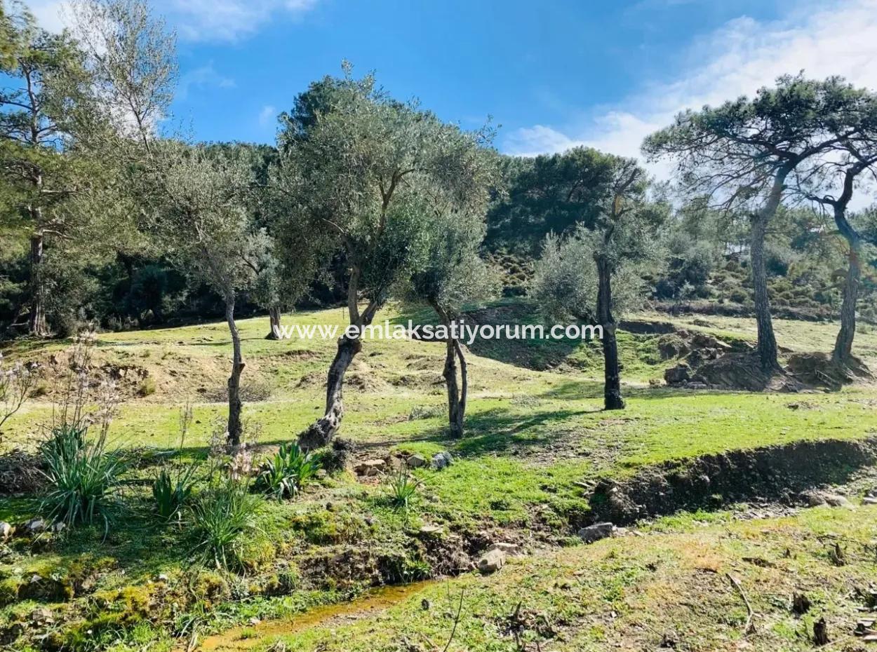 Detached Field For Sale In Ortaca Gökbel