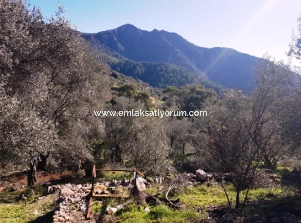 Sea View Land For Sale In Göcek Gökçeovacık