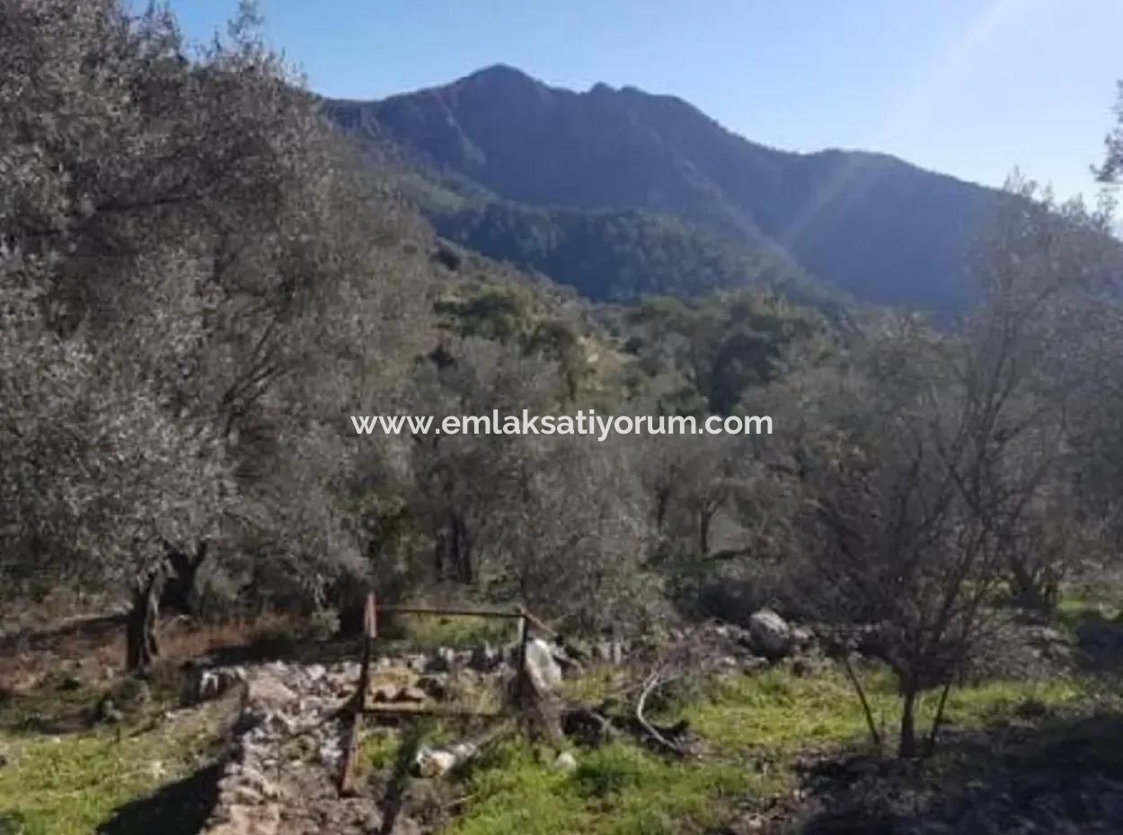 Sea View Land For Sale In Göcek Gökçeovacık