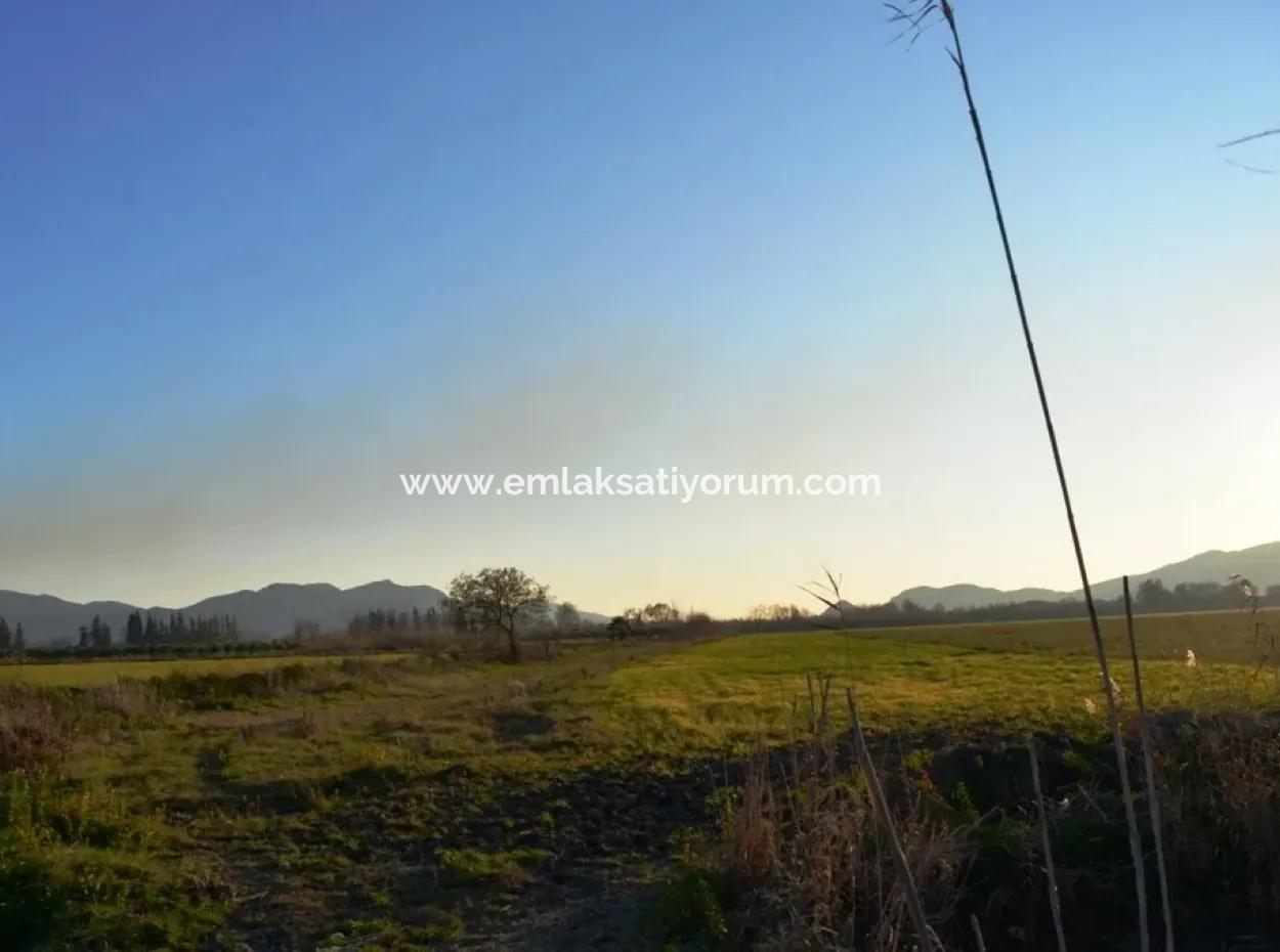 Urgent Land For Sale In Ula Karabogurtlen Bargain