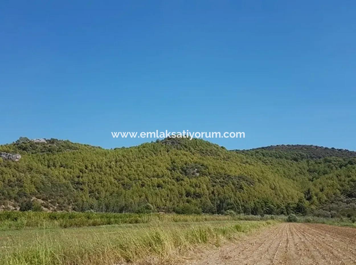 Fertile Land For Sale In Famagusta Bargain
