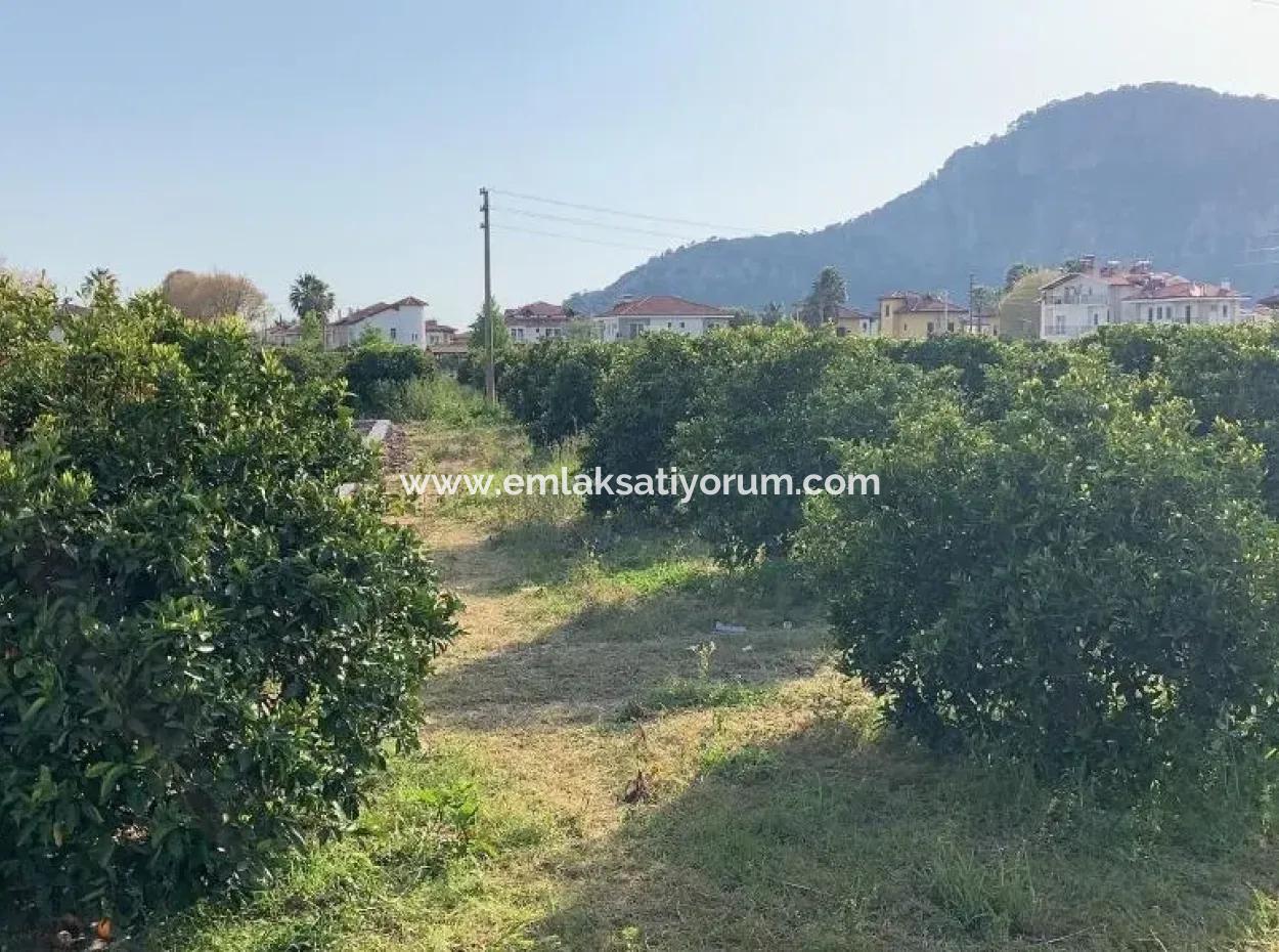 830 M2 Plot For Sale Bargain In Dalyan