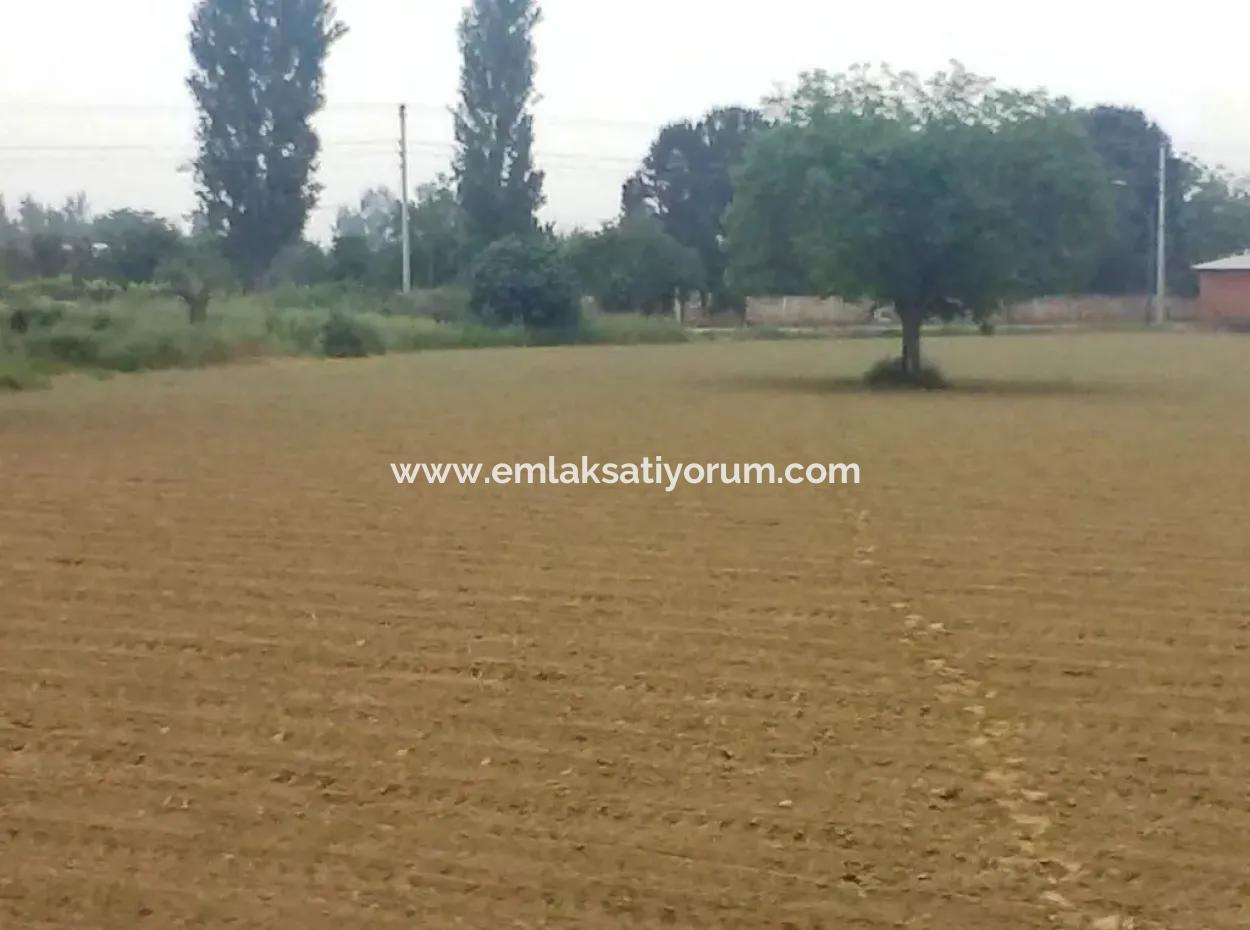 Commercial Zoned Land For Sale In Aydin Incirliova Diabetes