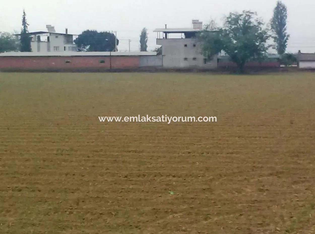 Commercial Zoned Land For Sale In Aydin Incirliova Diabetes