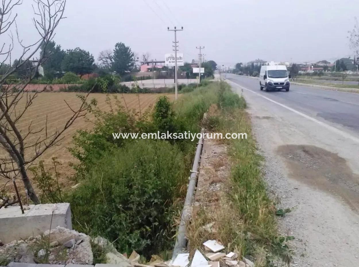 Commercial Zoned Land For Sale In Aydin Incirliova Diabetes