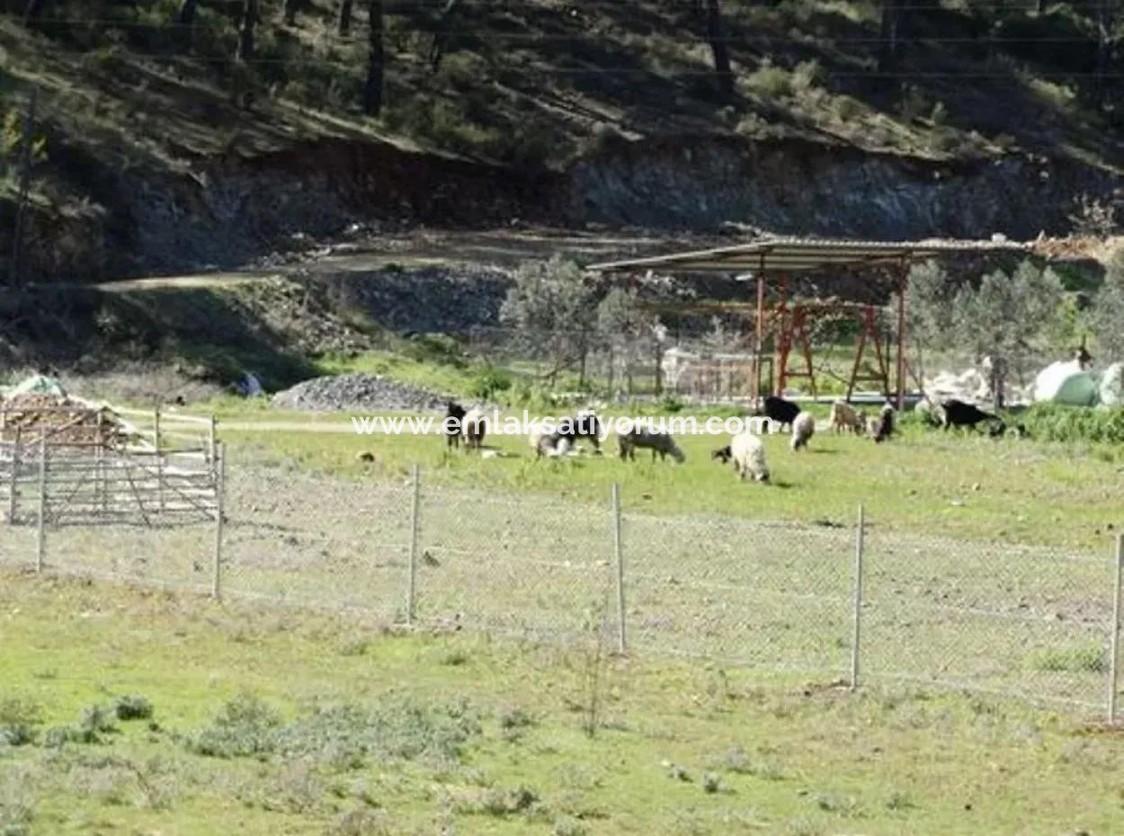 10,000 M2 Of Land Suitable For Investment Is For Sale In Ortaca Gölbasi