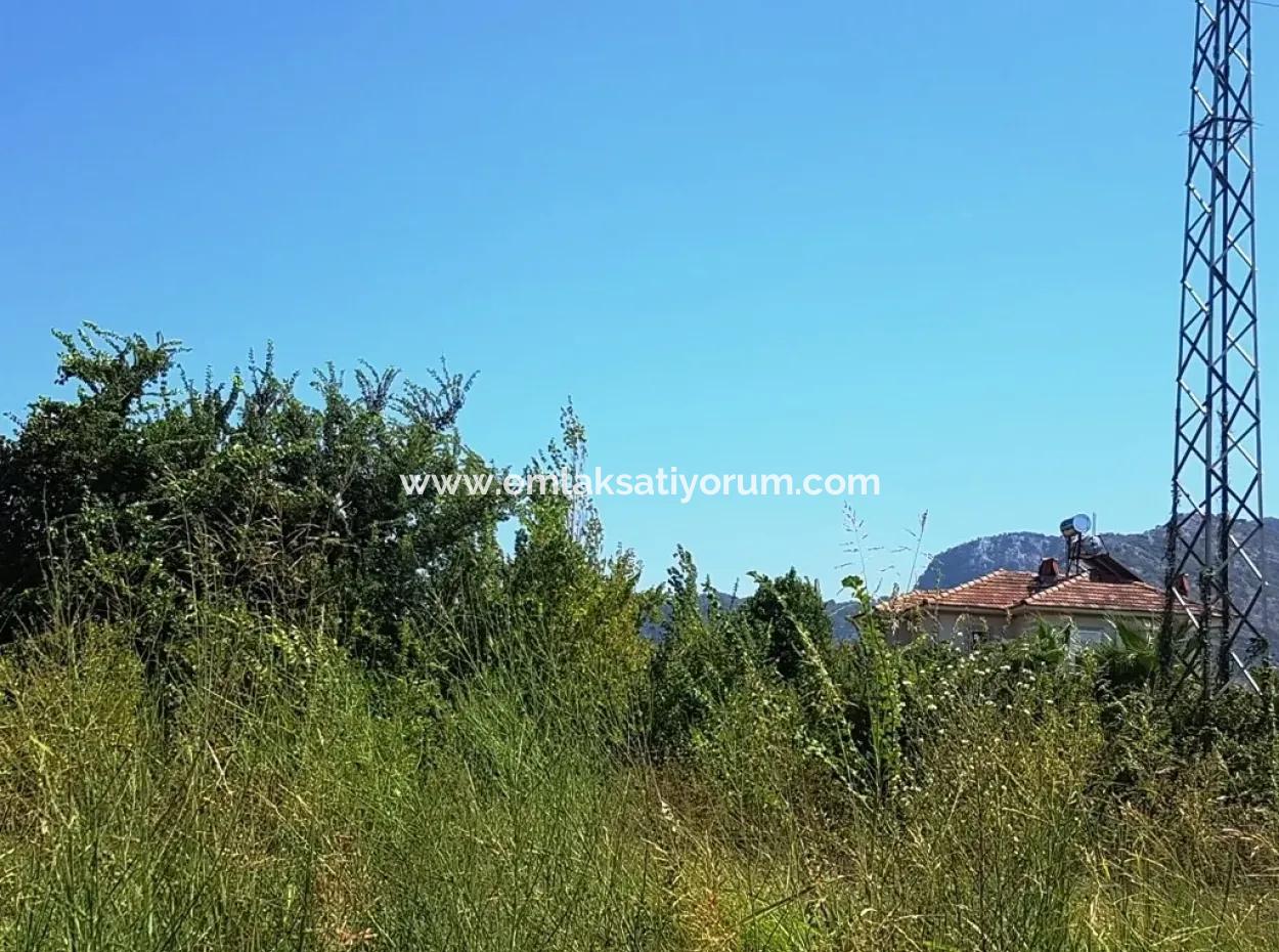 Bargain Plot For Sale In Dalyan