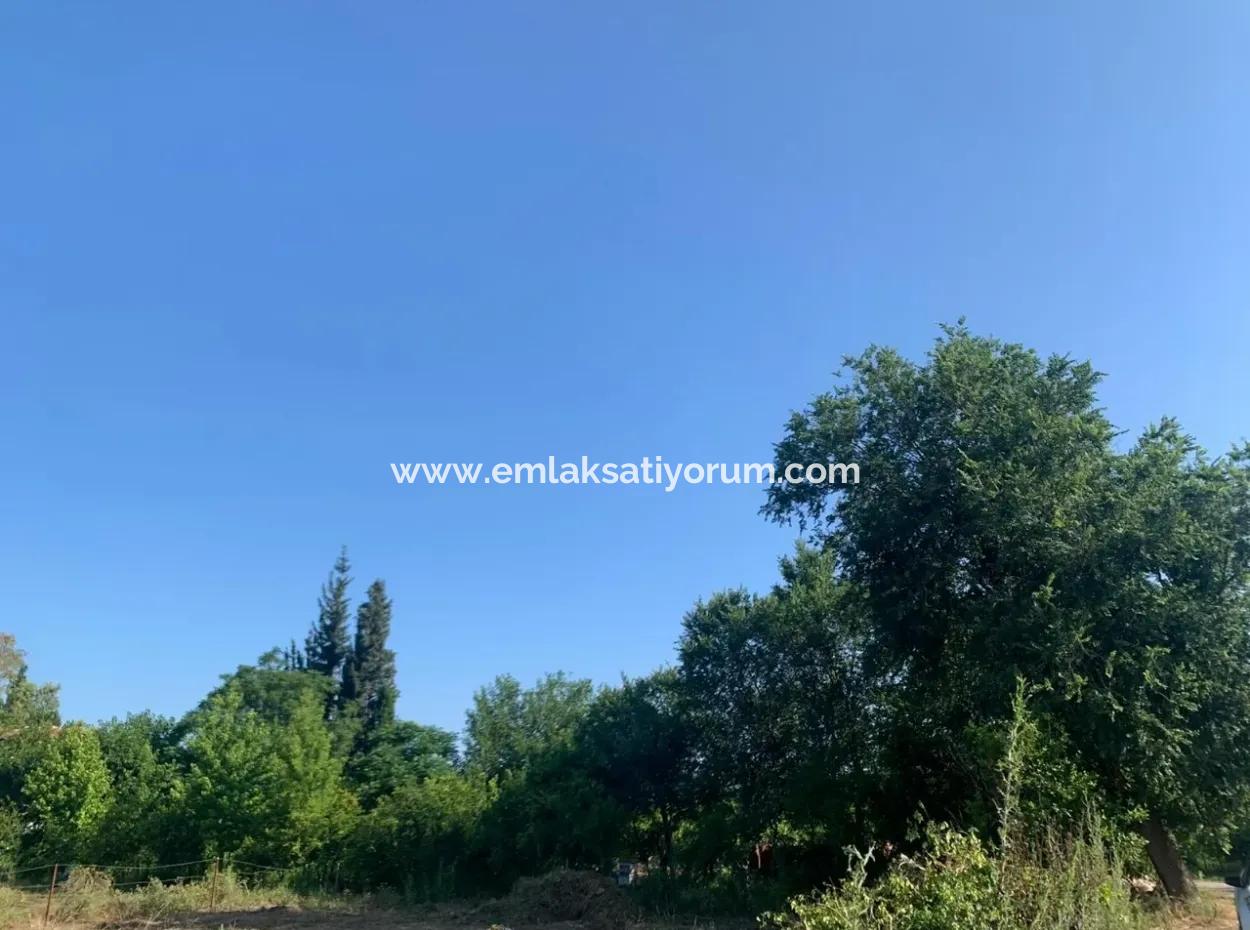 Villa 358 M2 Land For Sale In Oriya Also