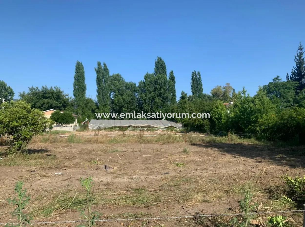Villa 358 M2 Land For Sale In Oriya Also