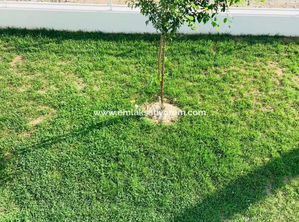 Oriya Fully Furnished Apartment For Sale 1+ 1