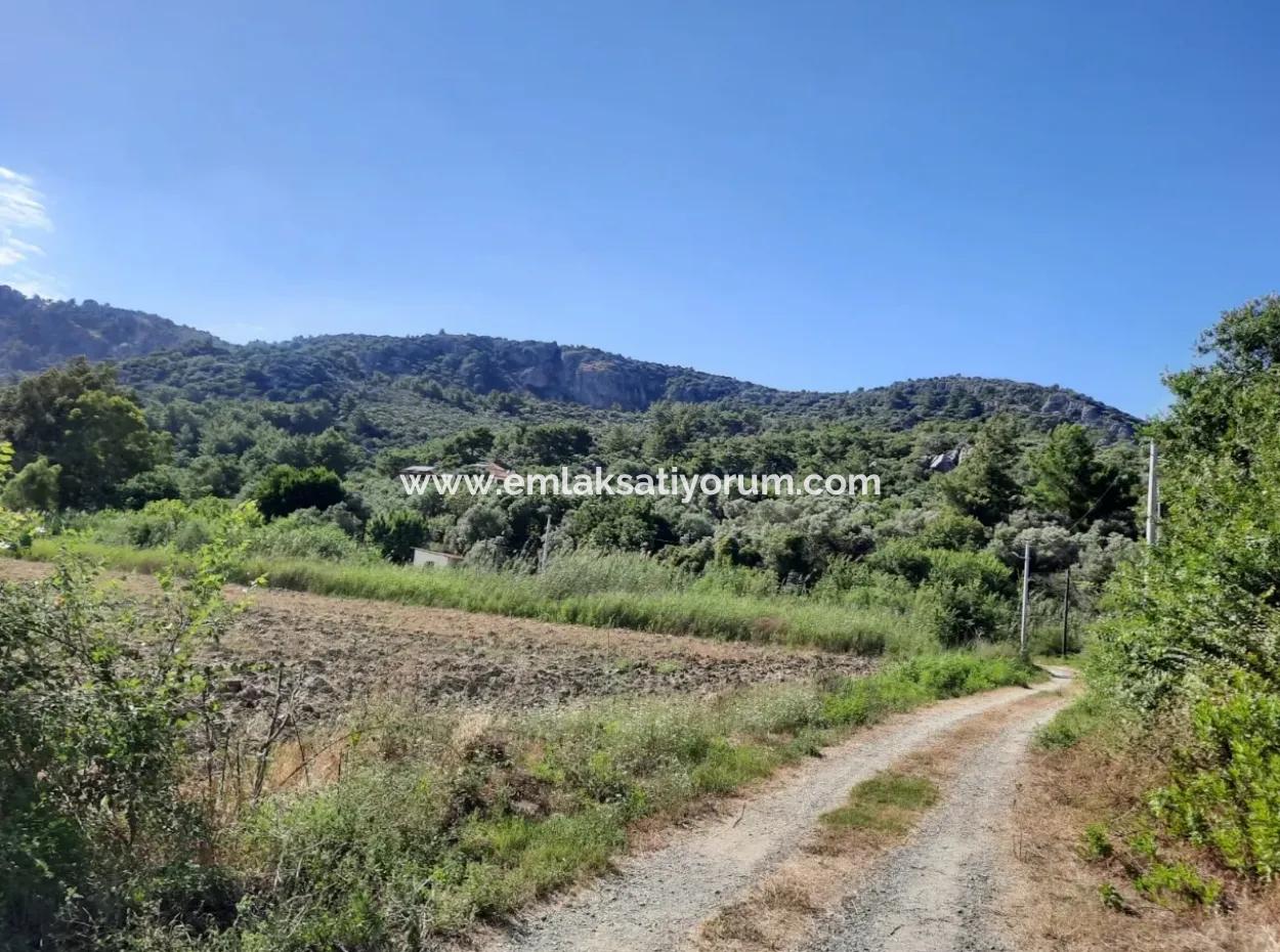 Oriya Fevziye Land For Sale In Zero Road