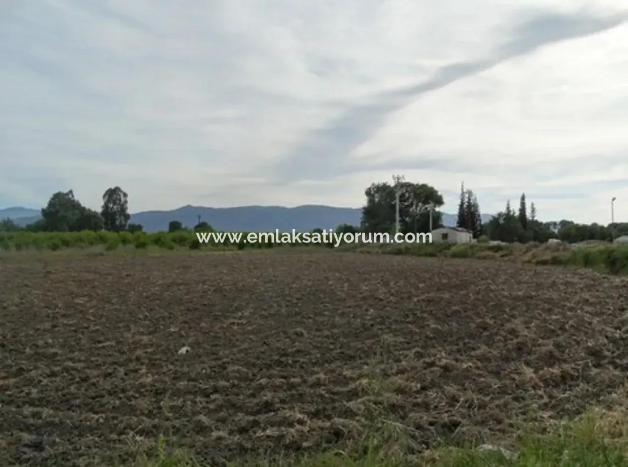 Also Suitable For Investment 31,175 M2 Land For Sale In Koycegiz Up