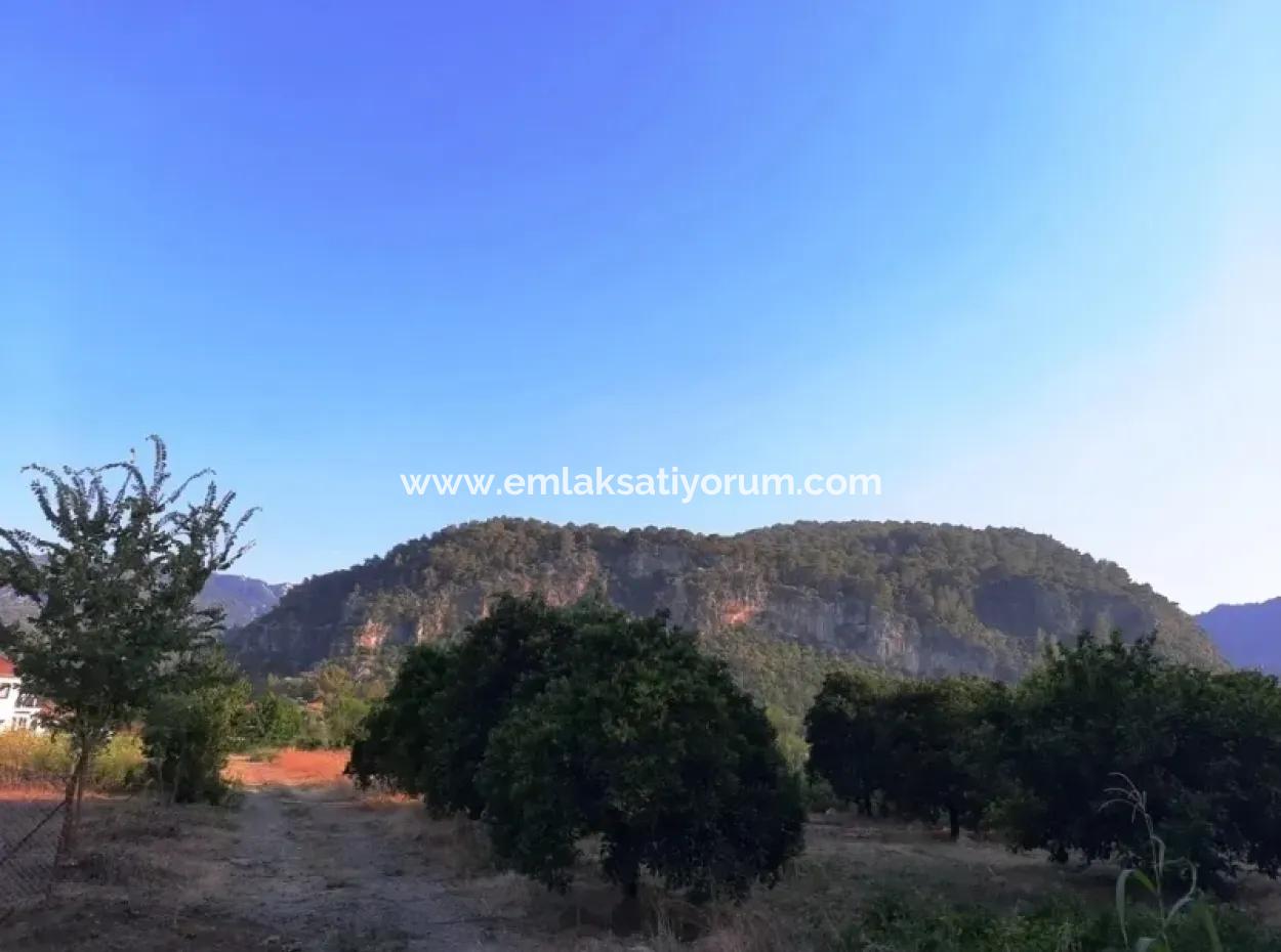 Archers Land For Sale With Title Deeds