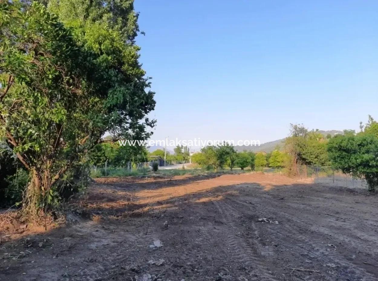 Archers Land For Sale With Title Deeds