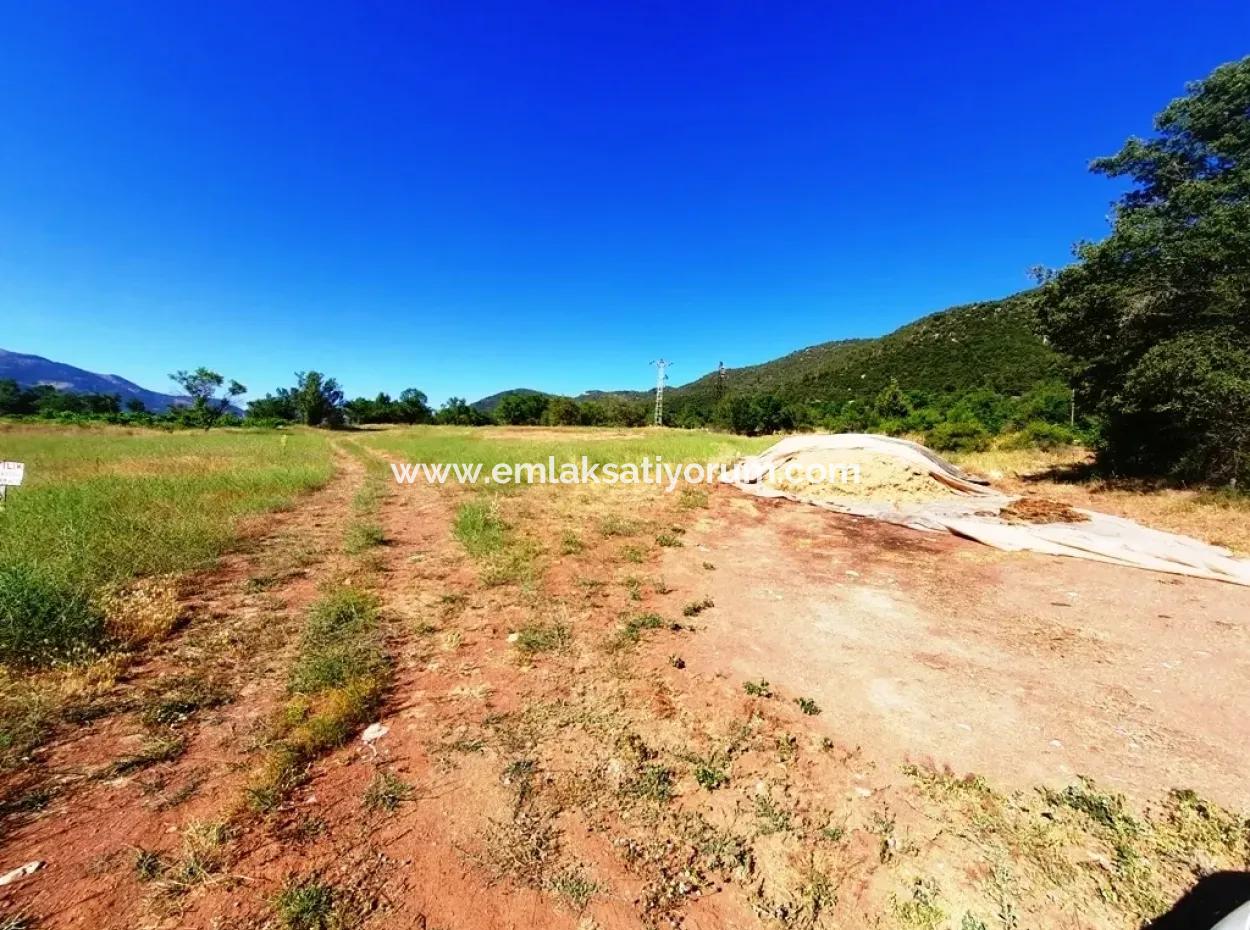 Land For Sale Bargain For Sale In St John Yunuspinar Denizli