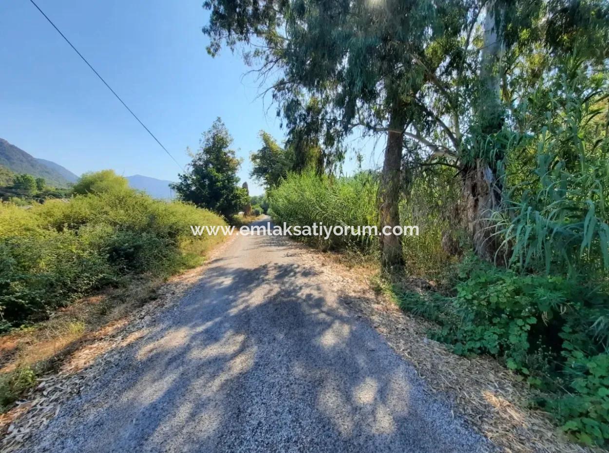 Vineyard Garden Zoning Land For Sale In Gocek Inlice