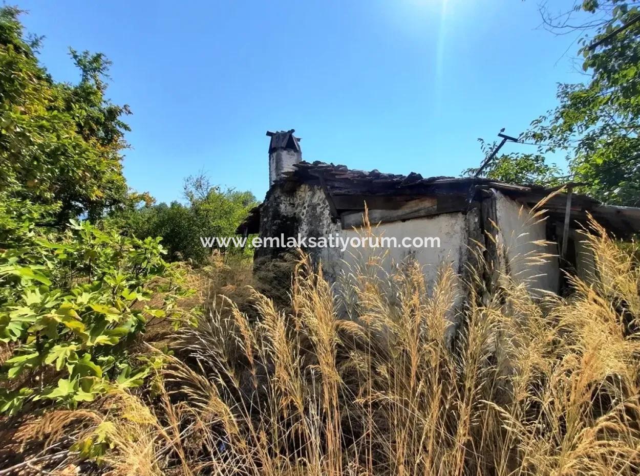 Zoning Land For Sale In Köycegiz Topars