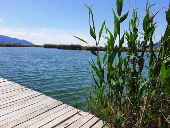 Mugla Dalyan Pomegranate Garden Suitable For Zero Investment In The Canal For Sale