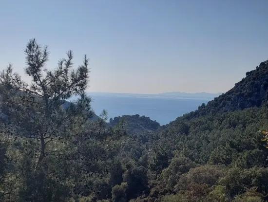 5.216 M2, 2B Land For Sale In Ortaca Gökbelde With Detached Title Deed Sea View