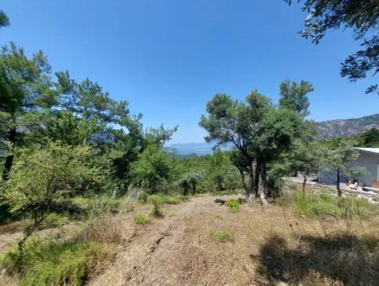 1.000 M² Investment Land With Lake And Sea View For Sale In Muğla Ortaca Gökbel