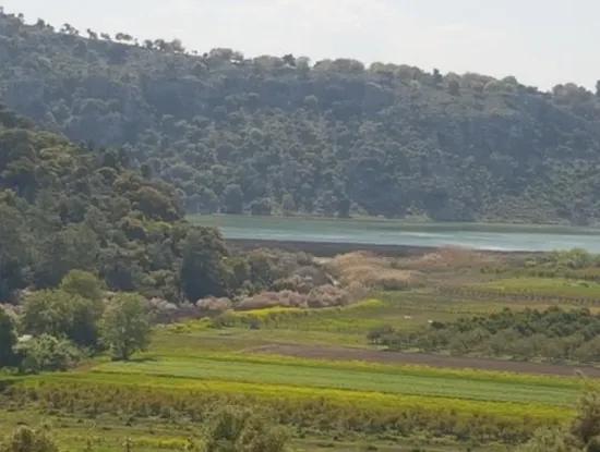 Lake-Zero Treasury Land In Muğla Dalaman Kapıkargın – Possession Will Be Transferred 