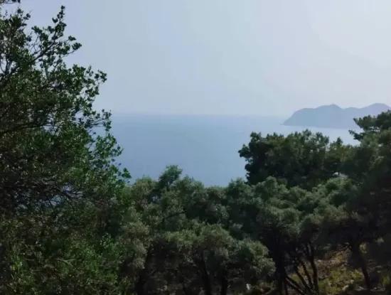 20.000 M² Sea View 2B Land Usage Right In Muğla Köyceğiz Çandır