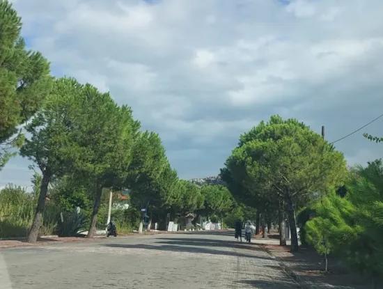 1000 M2 Commercial Zoned Lands On Dalyan Gülpınarda İşlek Street Will Be Given In The Form Of Build Operate Transfer