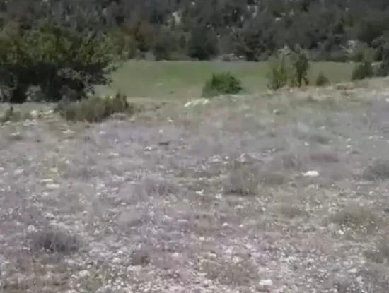 2030 M2 Field For Sale In Çameli Ayvacık