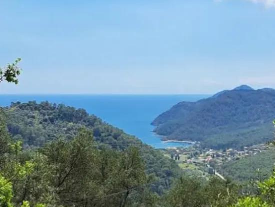 720 M² Sea View Olive Grove For Sale In Köyceğiz Ekincik, Muğla