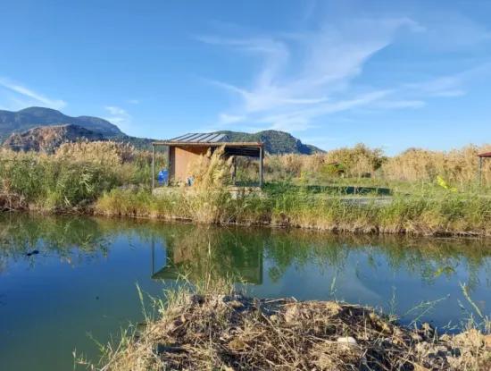 Container With Boat Mooring Place By The Canal In Muğla Ortaca Dalyan – For Sale