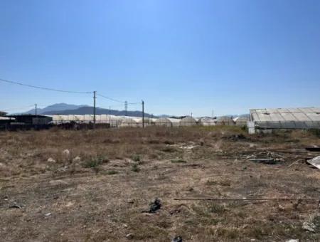 515 M2 Corner Zoned Land In Ortaca Karaburun Urgent Sale Or Exchange