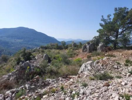 1 300 M2 63 M2 Zoned Land For Sale In Gocek Gökçeovacik