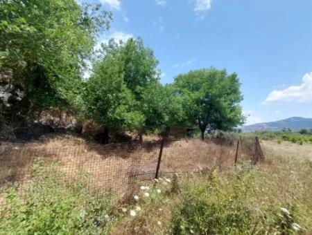 Köyceğiz Çandırda Detached Title Deed 33.800 M2 Field For Sale