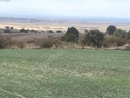 Canakkale Biga Koruobada Sea View Bargain 9 715 M2 Detached Detached Fertile Land For Sale