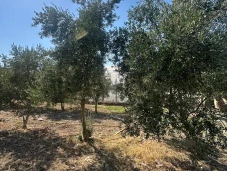 538 M2 Land For Sale In Ortaca Ekşiliyurt - 250 M2 Construction Permit