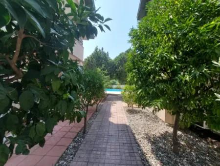 Muğla Ortaca Dalyanda Swimming Pool, Fully Furnished 1 1 Apartment For Rent