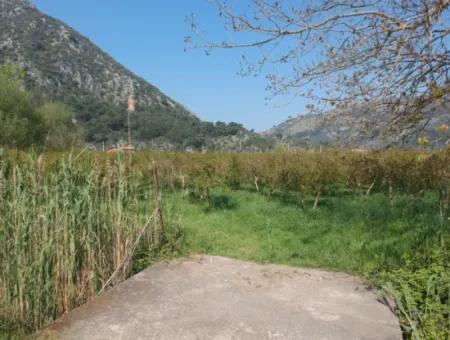 Ortaca Mergenlide 7989 M2 150 M2 Construction Permitted Pomegranate Field For Sale